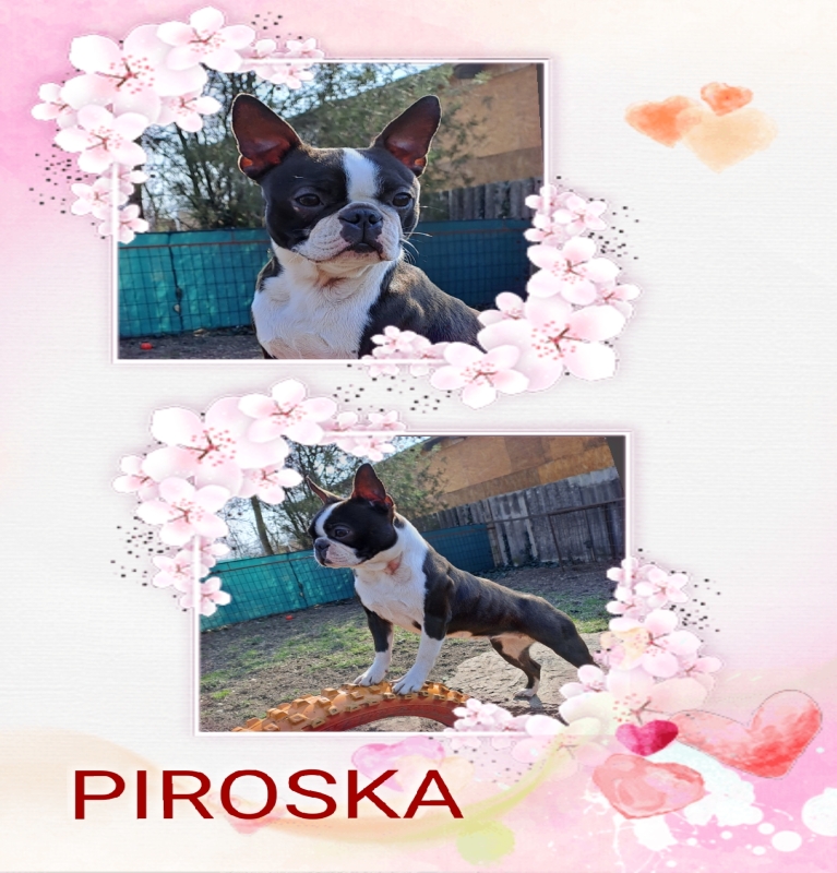 Piroska