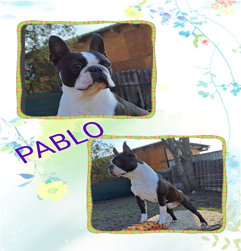 Pablo